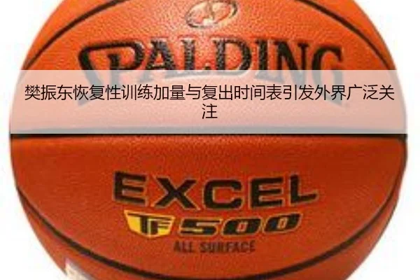 樊振东恢复性训练加量与复出时间表引发外界广泛关注